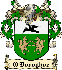 O'Donoghoe Family Crest and History