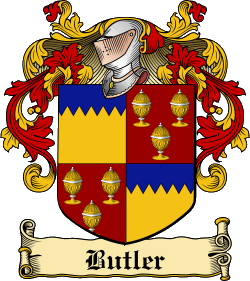 Irish surname Butler intricately rendered with celtic knots original design